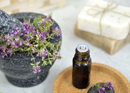 Najlepszy obrońca organizmu