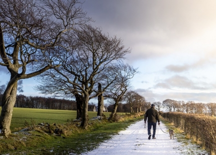 Zadziwiające zalety regularnych spacerów