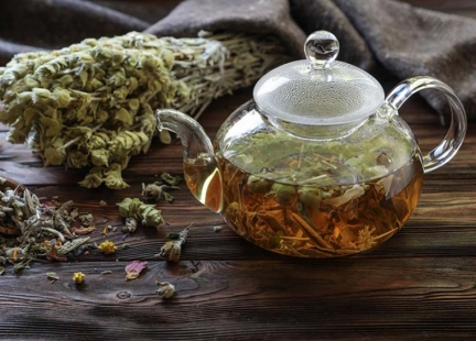 Gojnik – wsparcie zdrowia od czasów starożytnych