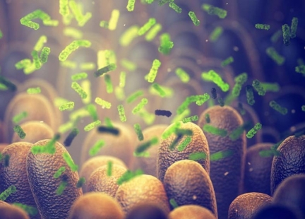 Bibliografia do art. prof. P. Claytona „ZbL“ 3/2022