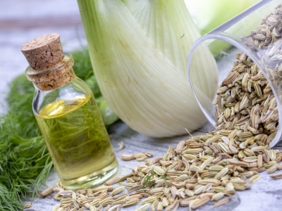 Koper włoski – zastosowanie, właściwości i działanie