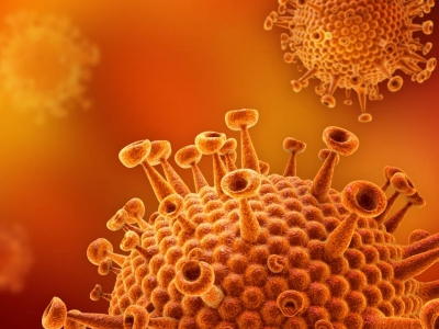 Wirusowe zapalenia płuc – przegląd