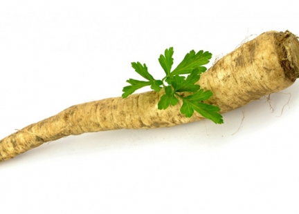 Pietruszka – korzeń