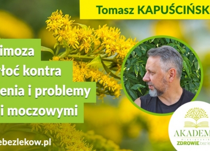 Nawłoć i jej lecznicze działanie